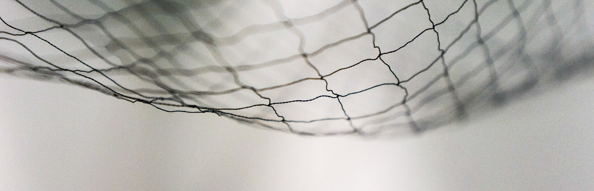 Netz